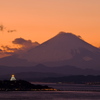 今年も宜しくお願いします