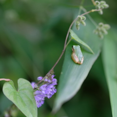 休息