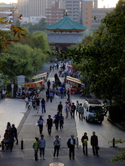 2009_10180053_1
