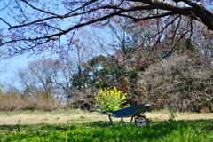 里山の風景