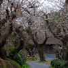 里山散歩