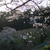 里山風景