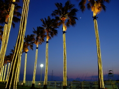 2009_04280068_1