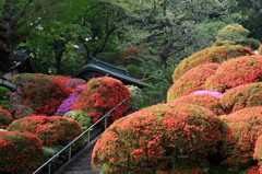 花香る階段