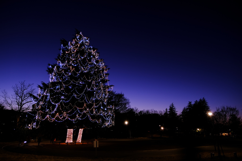 メリークリスマス