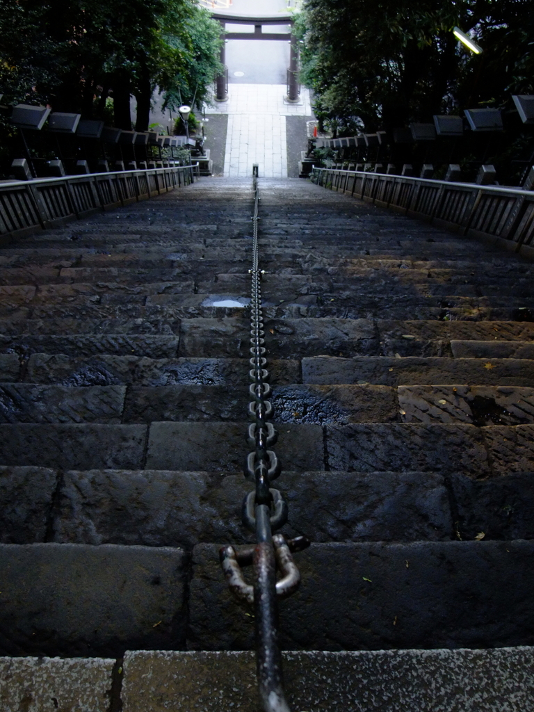 2009_06110074_1