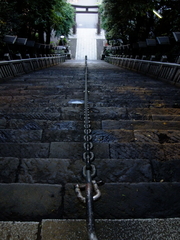 2009_06110074_1