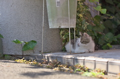 DSC03948