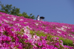 湘南国際村