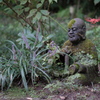 お花見
