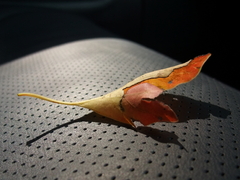 2009_05270013_1