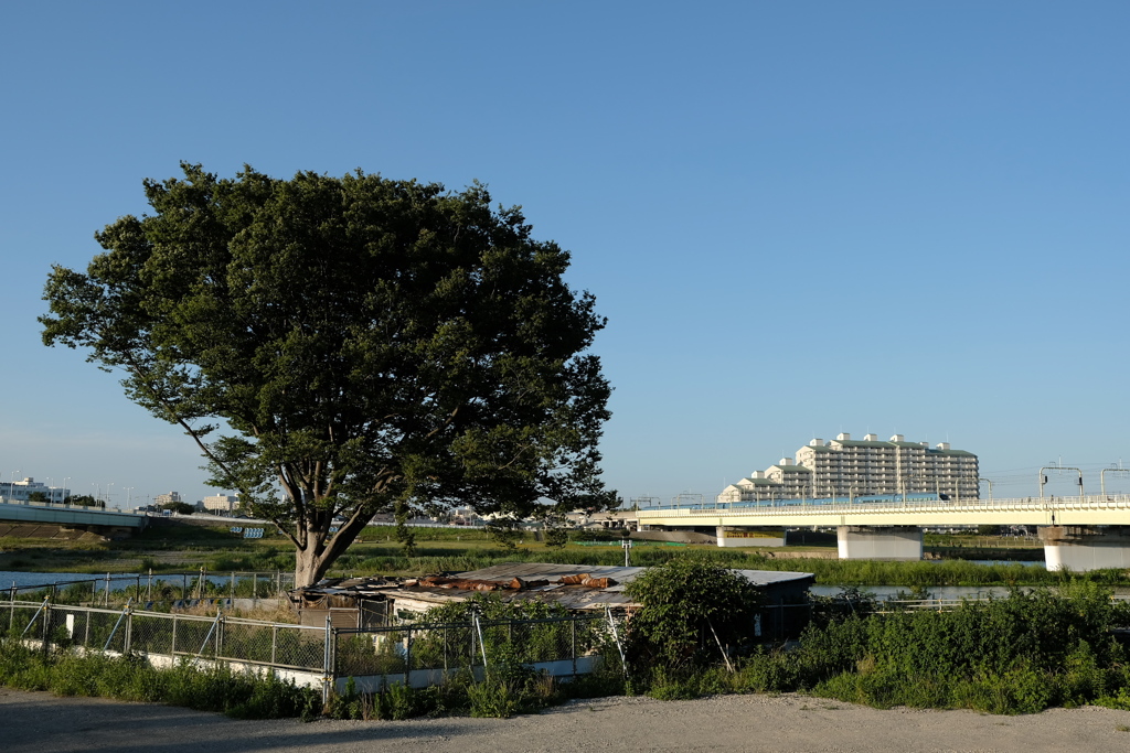 残したい風景