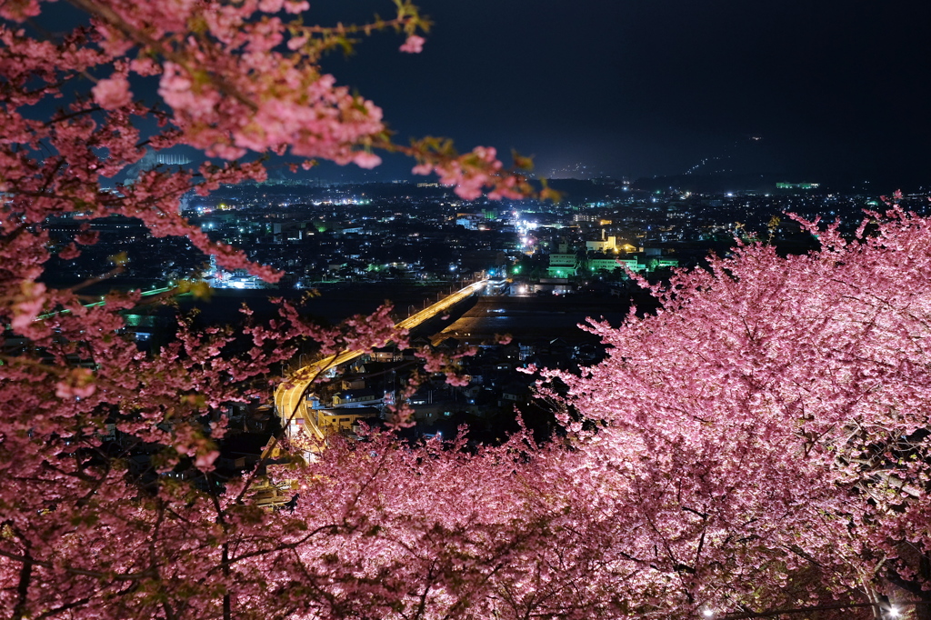 春の夜