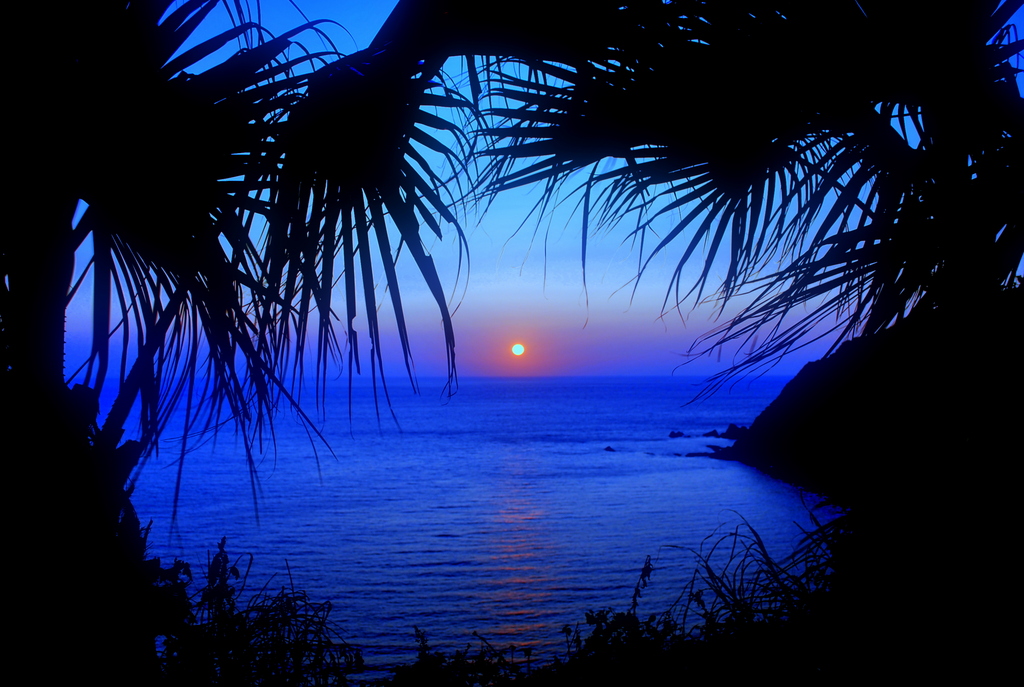 夕陽とフェニックス