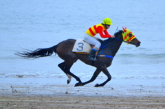 浜競馬2011