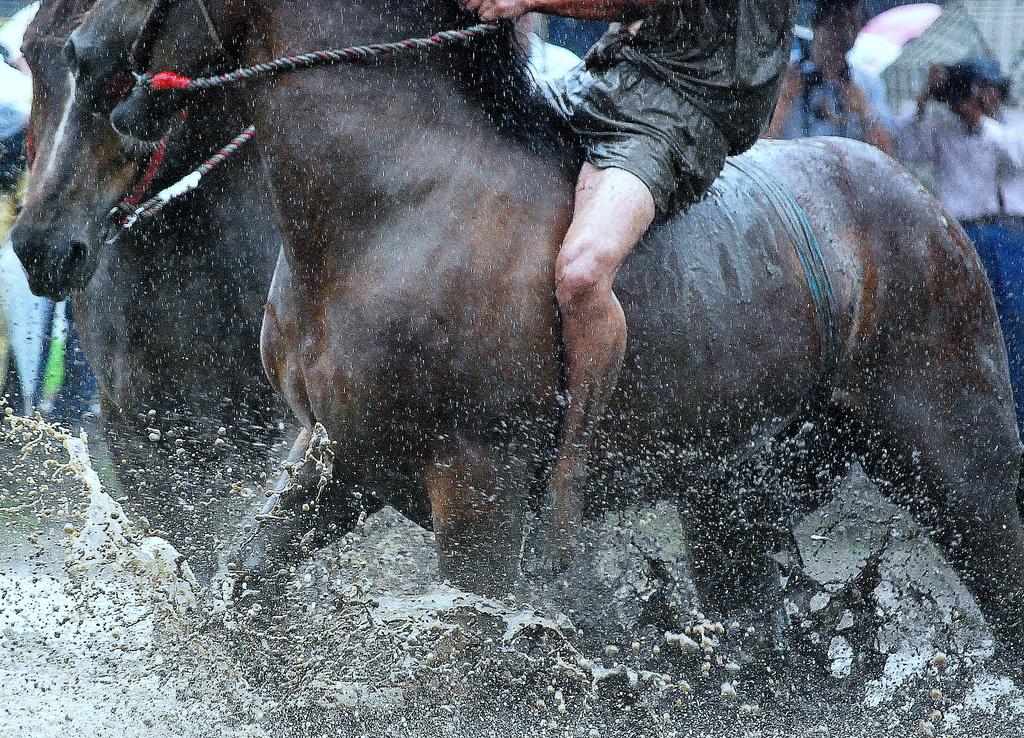 御田祭2009