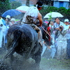 御田祭2009