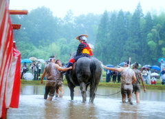 御田祭　2009