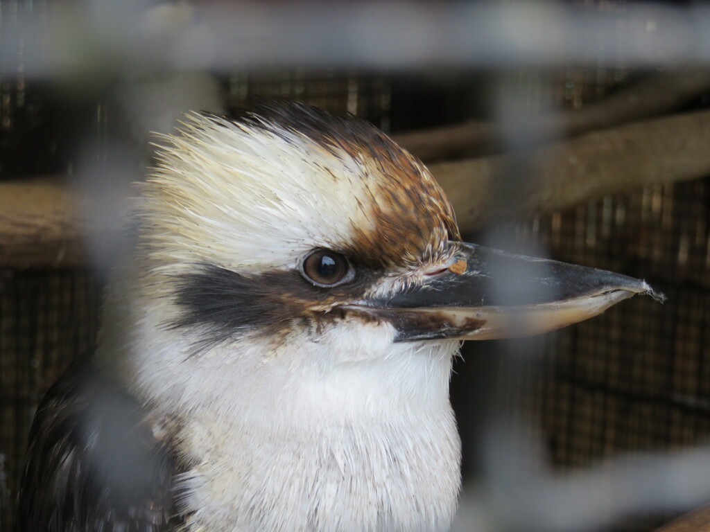 埼玉県こども動物自然公園