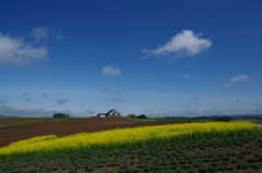 こんな家に住みたい