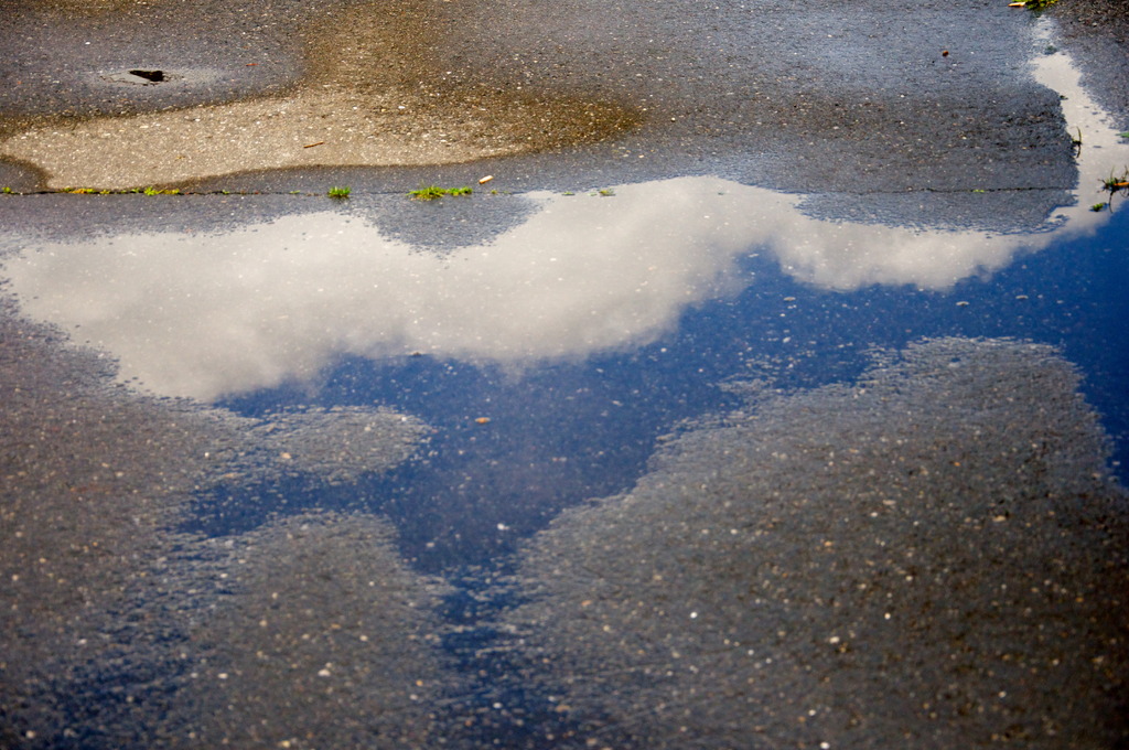 雨上がり