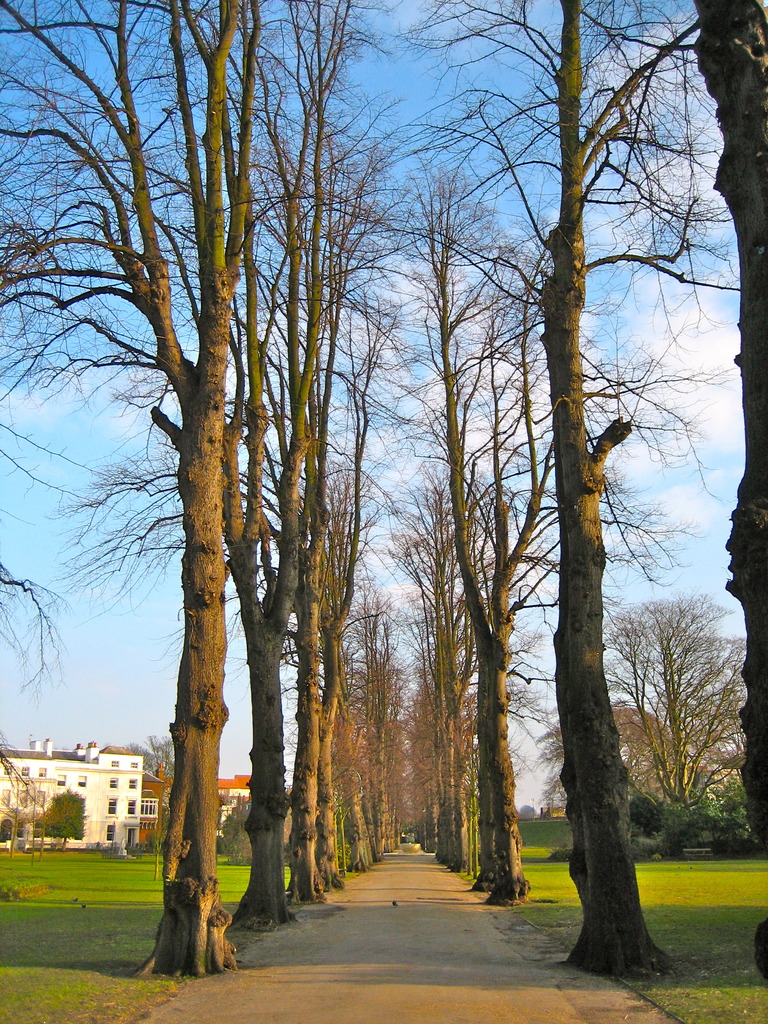 Footpath of Canterbury