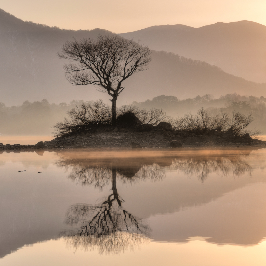 Quietly standing
