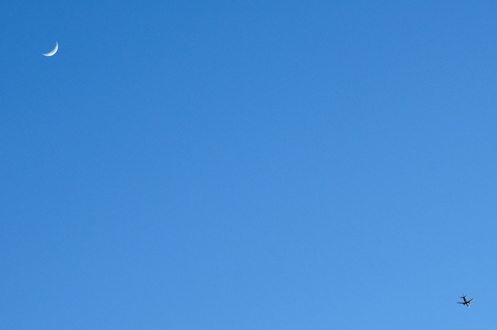 Moon and wing