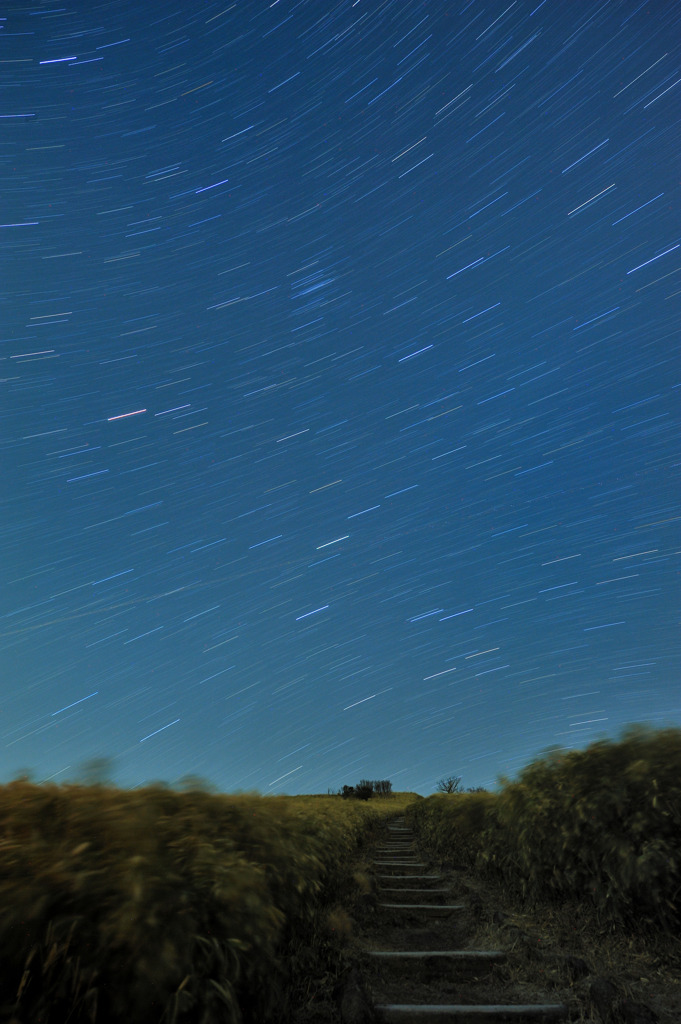 Starry footpath