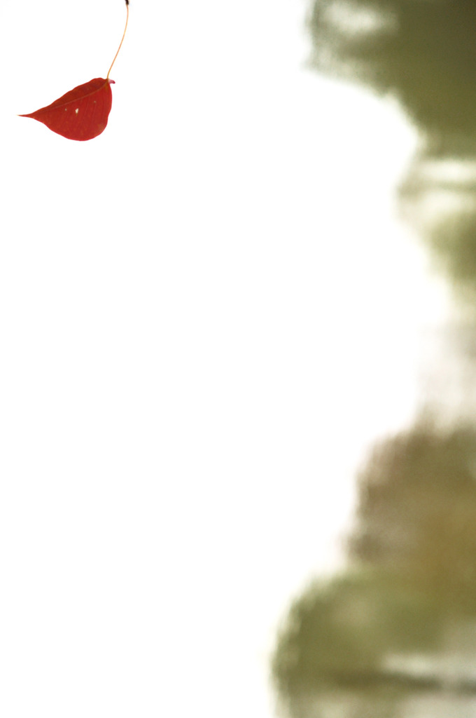 Rouge