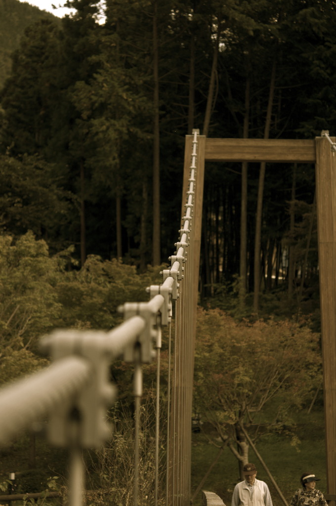 Life bridge