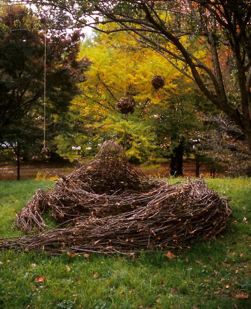 Tree Art