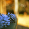 Turn of the season.