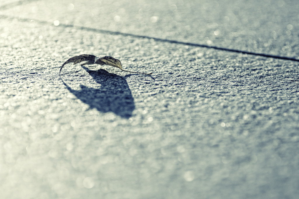 A thing left behind