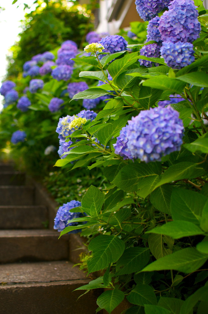 The stairs to daily life.