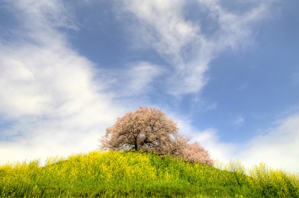 Stage of spring