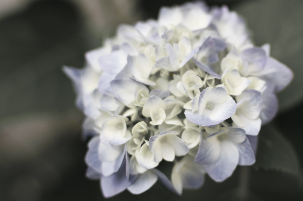 Re: June