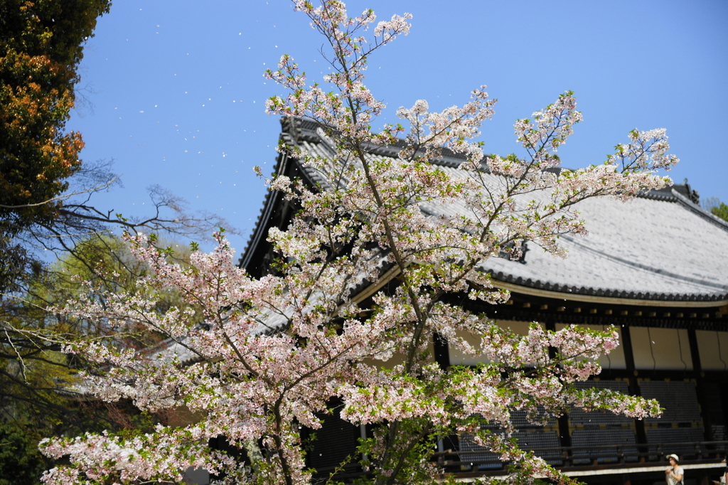 DSC04267(1)