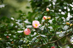 DSC01643