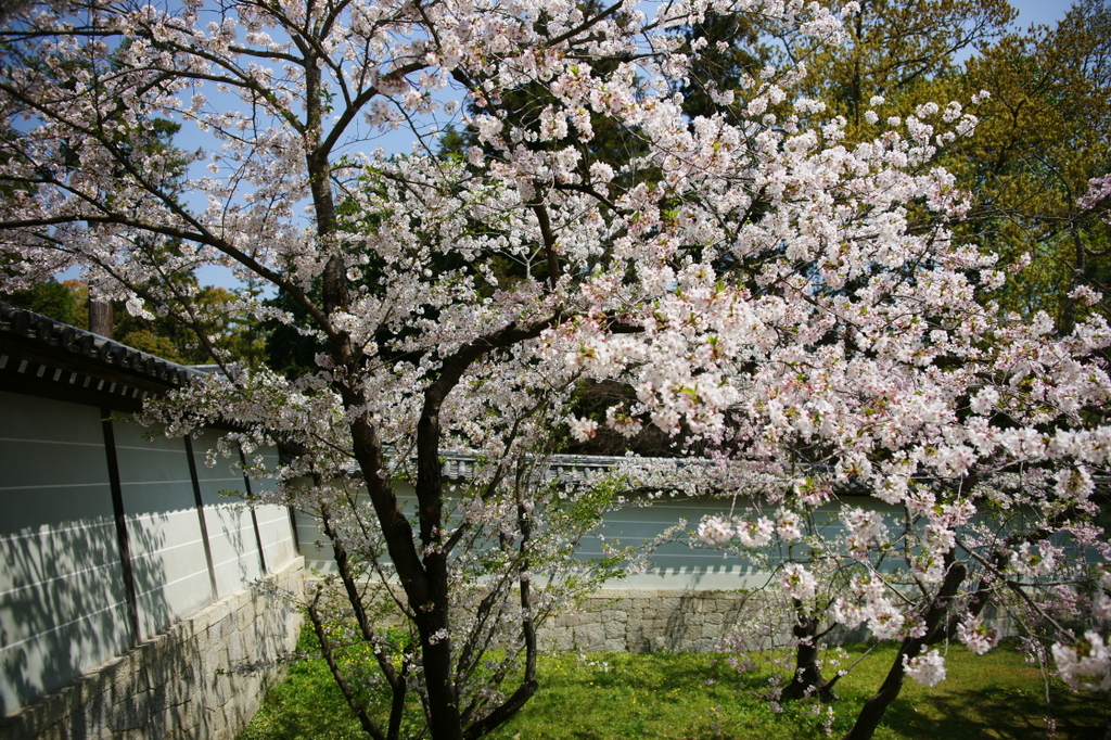 DSC04000