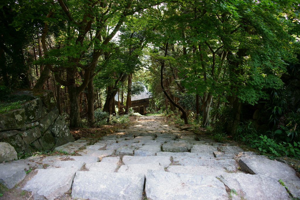 摠見寺