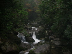 風景