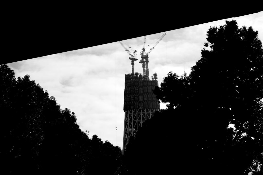 DSC_01350001