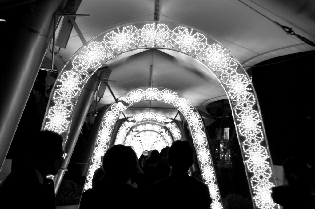 DSC_00040001