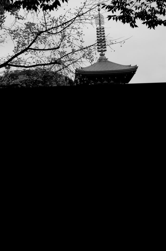 DSC_00540001