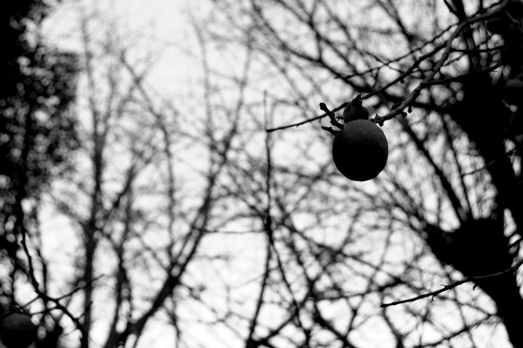 DSC_00270001