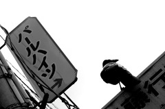 DSC_00120001_1