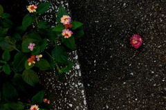 DSC_00540001