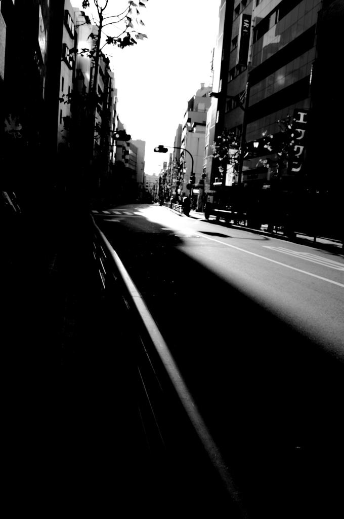 DSC_00550001