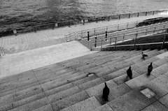 DSC_00990001